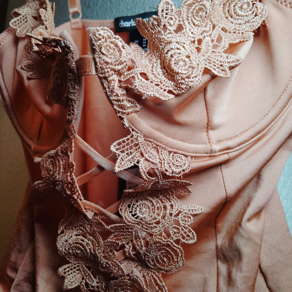 Charlotte Russe Blush Lace Bodysuit